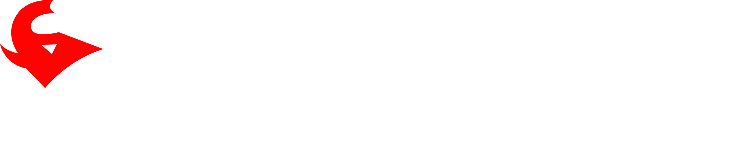 PSI Nusa Tenggara Timur