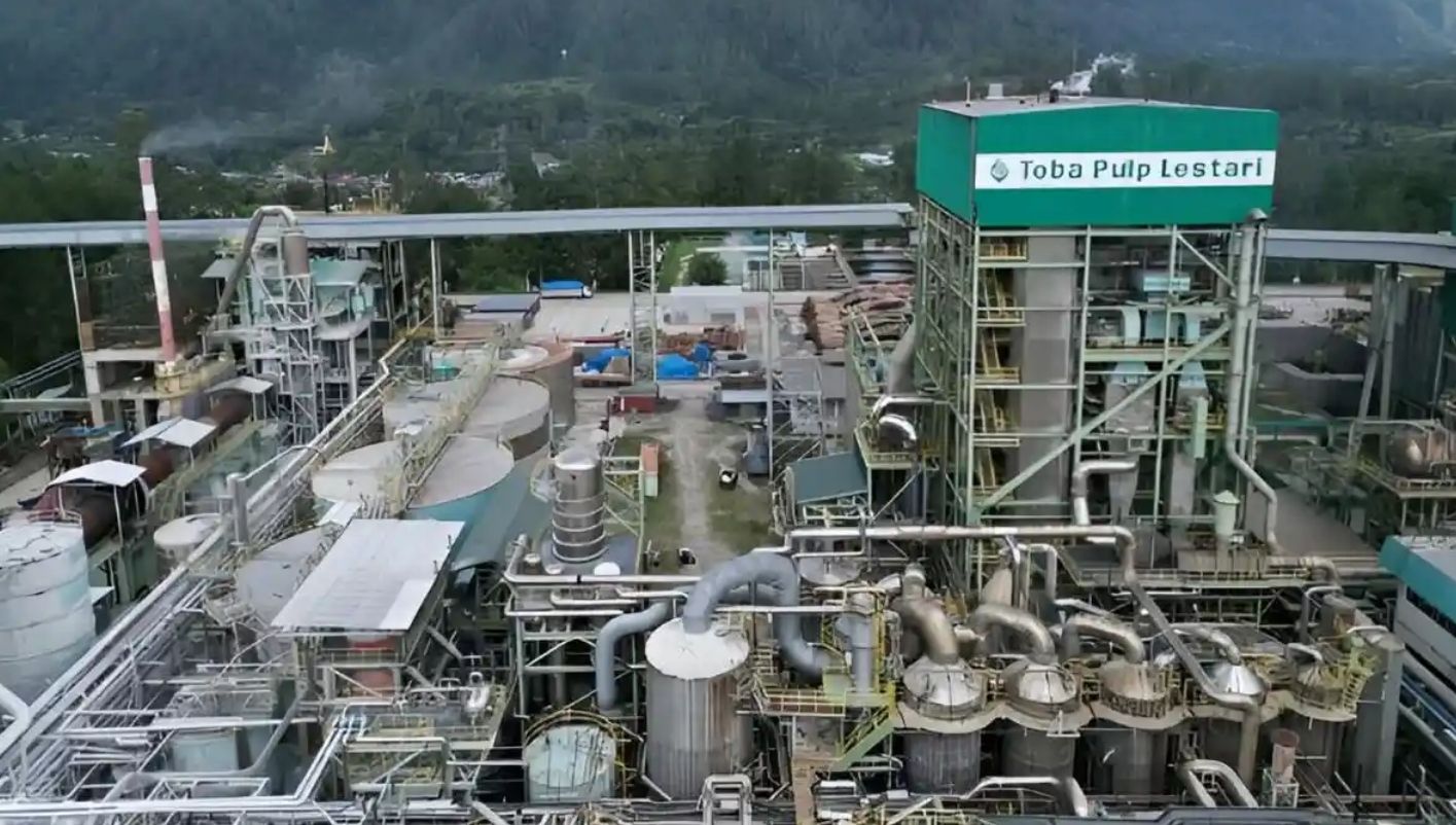 PT Toba Pulp Lestari Milik Siapa Mengurai Kepemilikan, Jejak Bisnis, dan Dampaknya bagi Publik