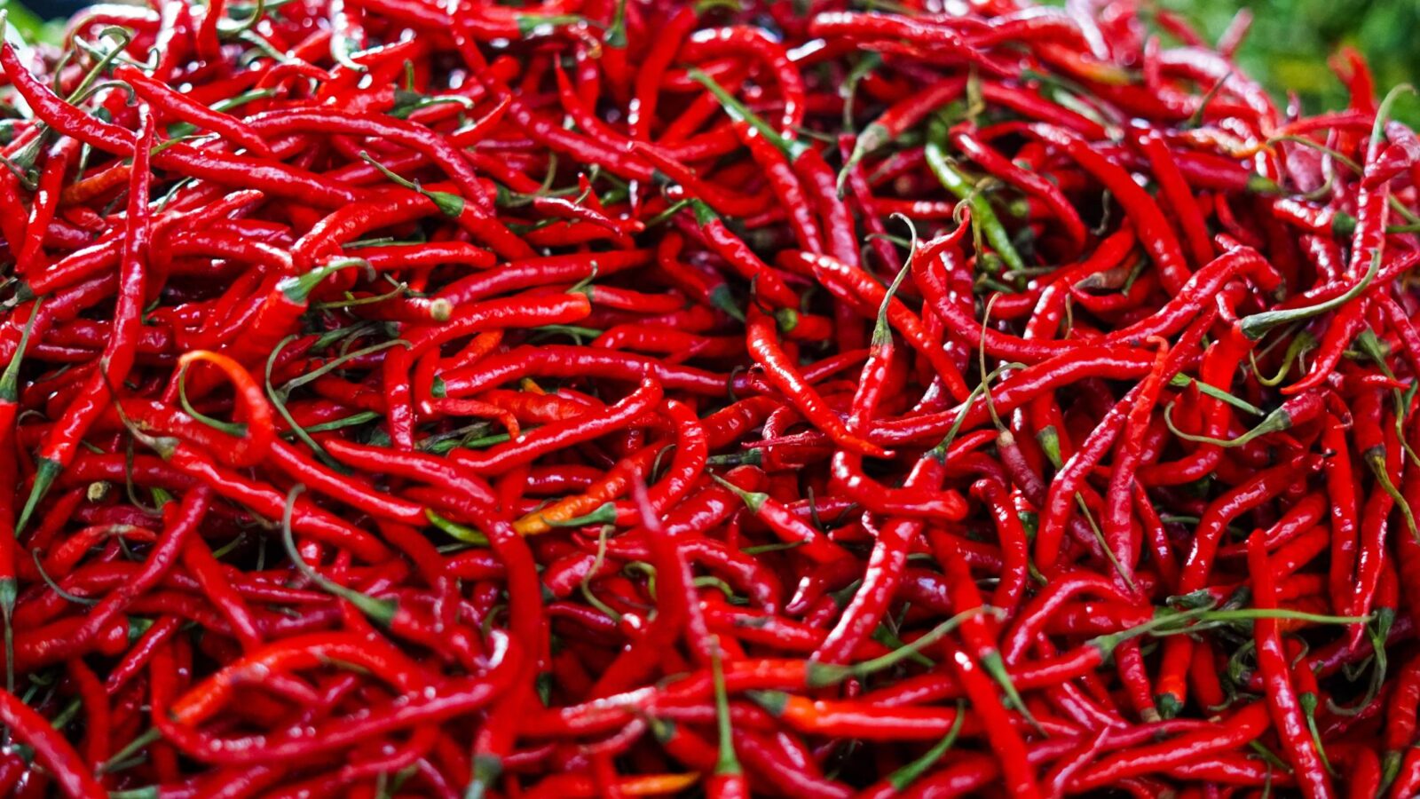 Harga Cabe Hari Ini: Update Terbaru, Penyebab Naik Turun, dan Tips Menghemat