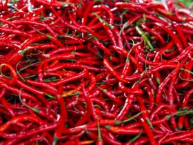 Harga Cabe Hari Ini: Update Terbaru, Penyebab Naik Turun, dan Tips Menghemat