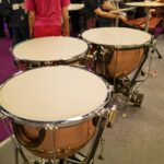 Alat Musik Marakas: Sejarah, Cara Memainkan, dan Perannya dalam Musik Tradisional