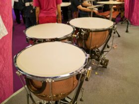 Alat Musik Marakas: Sejarah, Cara Memainkan, dan Perannya dalam Musik Tradisional