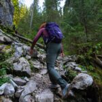 Arti Garis Tangan: Panduan Memahami Makna Garis pada Telapak Tangan