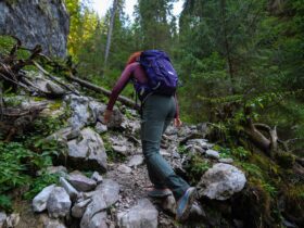 Arti Garis Tangan: Panduan Memahami Makna Garis pada Telapak Tangan