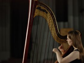 Contoh Alat Musik Harmonis: Pengertian, Fungsi, dan Jenisnya dalam Dunia Musik