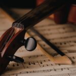 Contoh Alat Musik Melodis: Pengertian, Jenis, dan Fungsinya dalam Musik