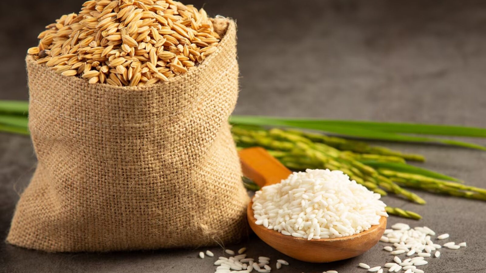 Harga Beras: Fakta Terkini, Penyebab Perubahan, Dampak, dan Solusi Menghadapinya