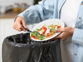 Limbah Organik: Pengertian, Jenis, Dampak, dan Cara Mengelolanya dengan Benar