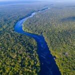 Sungai Amazon Terbesar di Dunia: Fakta, Keunikan, dan Perannya bagi Bumi