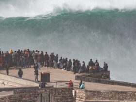 Tsunami Aceh Adalah Terbesar di Dunia? Fakta, Sejarah, dan Dampaknya