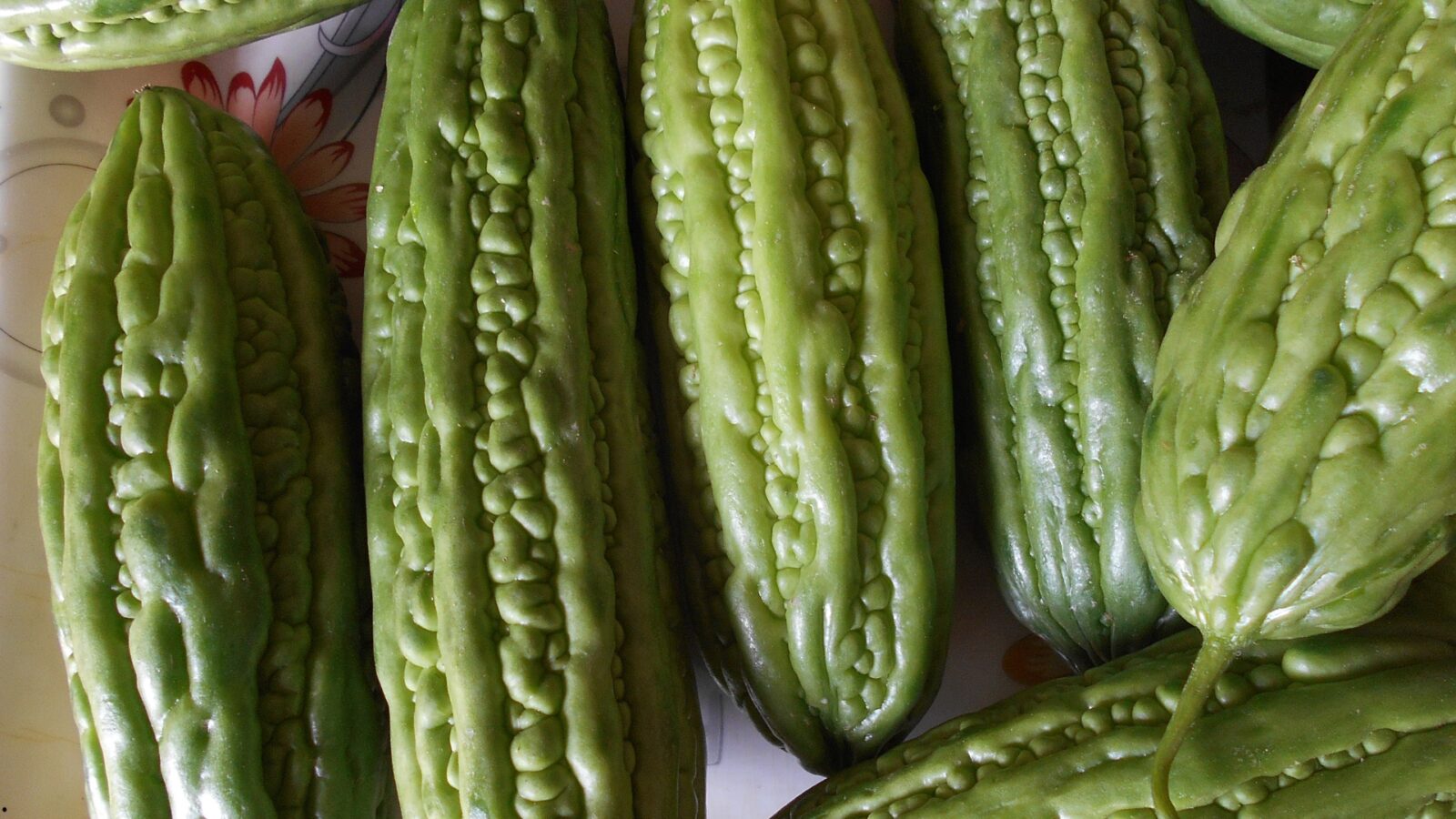 Manfaat Sayur Gambas untuk Kesehatan dan 5 Resep Masakan Enak yang Mudah Dibuat