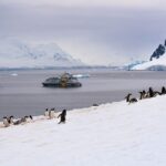Benua Antartika: Fakta, Iklim Ekstrem, dan Keunikan Benua Paling Dingin di Dunia