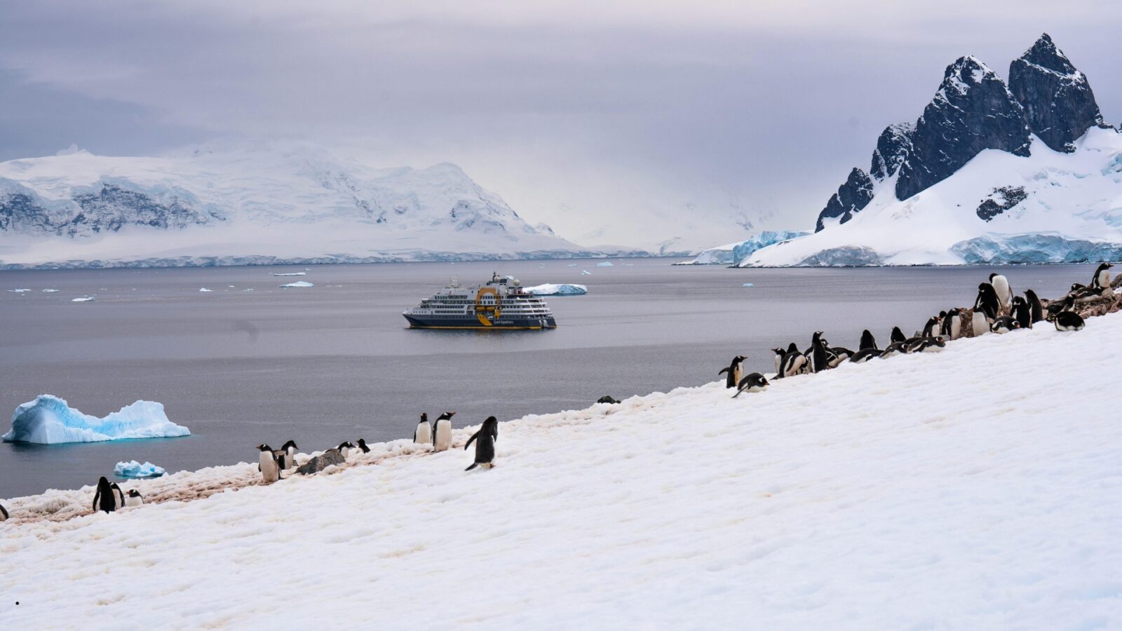 Benua Antartika: Fakta, Iklim Ekstrem, dan Keunikan Benua Paling Dingin di Dunia