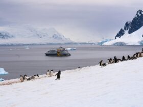 Benua Antartika: Fakta, Iklim Ekstrem, dan Keunikan Benua Paling Dingin di Dunia