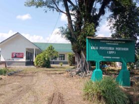 Balai Penyuluhan Pertanian Peran, Fungsi, dan Dampaknya bagi Petani Indonesia