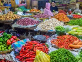 Harga Sembako Hari Ini di Indonesia Update Terbaru, Faktor Penyebab, dan Tips Hemat Belanja
