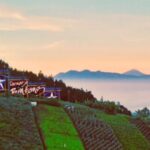Wisata Puncak Bintang Bandung Menikmati Keindahan Alam dan Pemandangan Kota dari Ketinggian
