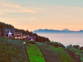 Wisata Puncak Bintang Bandung Menikmati Keindahan Alam dan Pemandangan Kota dari Ketinggian