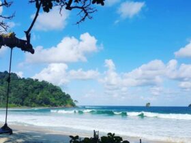 Pantai Sendiki Surga Tersembunyi di Malang yang Masih Alami dan Menenangkan
