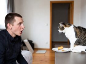 Bapak Kost Makan Kucing Fenomena Viral dan Respons Masyarakat