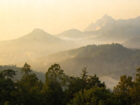 Caption Alam Aesthetic untuk Instagram yang Indah dan Bermakna