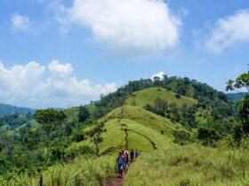 Rekomendasi Wisata Alam Bukit yang Cocok untuk Liburan Keluarga di Indonesia